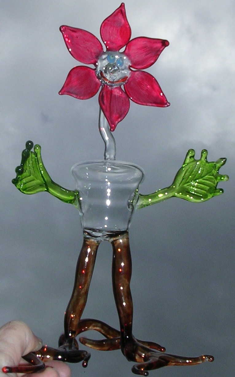 Flower Man Flower Man